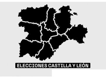 Elecciones en Castilla y Le&oacute;n 2026