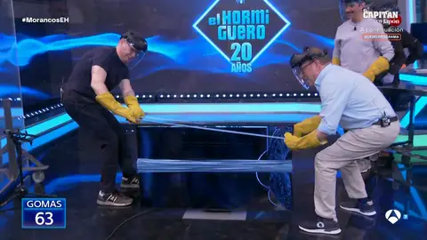 Marron, contra la televisión en un peligroso experimento : ¿cuántas gomas aguantará? Marron, contra la televisión en un peligroso experimento : ¿cuántas gomas aguantará?