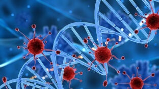 Tumor c&aacute;ncer
