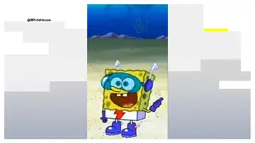 La propaganda de Trump: utiliza la imagen de Bob Esponja para promocionar sus ataques La propaganda de Trump: utiliza la imagen de Bob Esponja para promocionar sus ataques