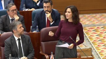 Isabel D&iacute;az Ayuso, en la Asamblea de Madrid