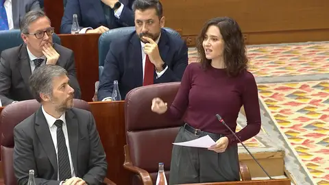 Isabel Díaz Ayuso, en la Asamblea de Madrid Isabel Díaz Ayuso, en la Asamblea de Madrid