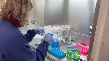 Investigadores de CNAG han investigado el epicentro del cerebro para comprender cómo evolucionan las enfermedades cerebrales Investigadores de CNAG han investigado el epicentro del cerebro para comprender cómo evolucionan las enfermedades cerebrales