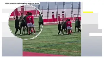 Vídeo: Brutal agresión de un aficionado a un jugador en un partido de fútbol en Tenerife Vídeo: Brutal agresión de un aficionado a un jugador en un partido de fútbol en Tenerife