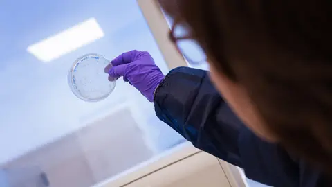 Un anticuerpo contra una peligrosa bacteria hospitalaria multirresistente abre una nueva vía para combatir infecciones Un anticuerpo contra una peligrosa bacteria hospitalaria multirresistente abre una nueva vía para combatir infecciones