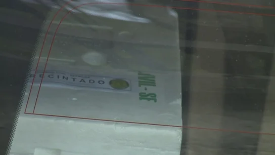 Operación contra el tráfico ilegal de angulas en Gipuzkoa Operación contra el tráfico ilegal de angulas en Gipuzkoa