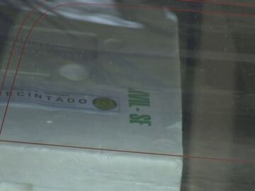 Operaci&oacute;n contra el tr&aacute;fico ilegal de angulas en Gipuzkoa 