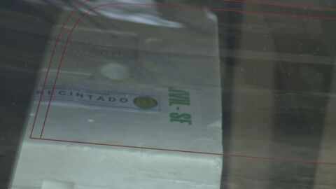 Operaci&oacute;n contra el tr&aacute;fico ilegal de angulas en Gipuzkoa 