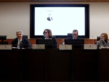 Presentaci&oacute;n del Hub 'SERES de Huella Social'