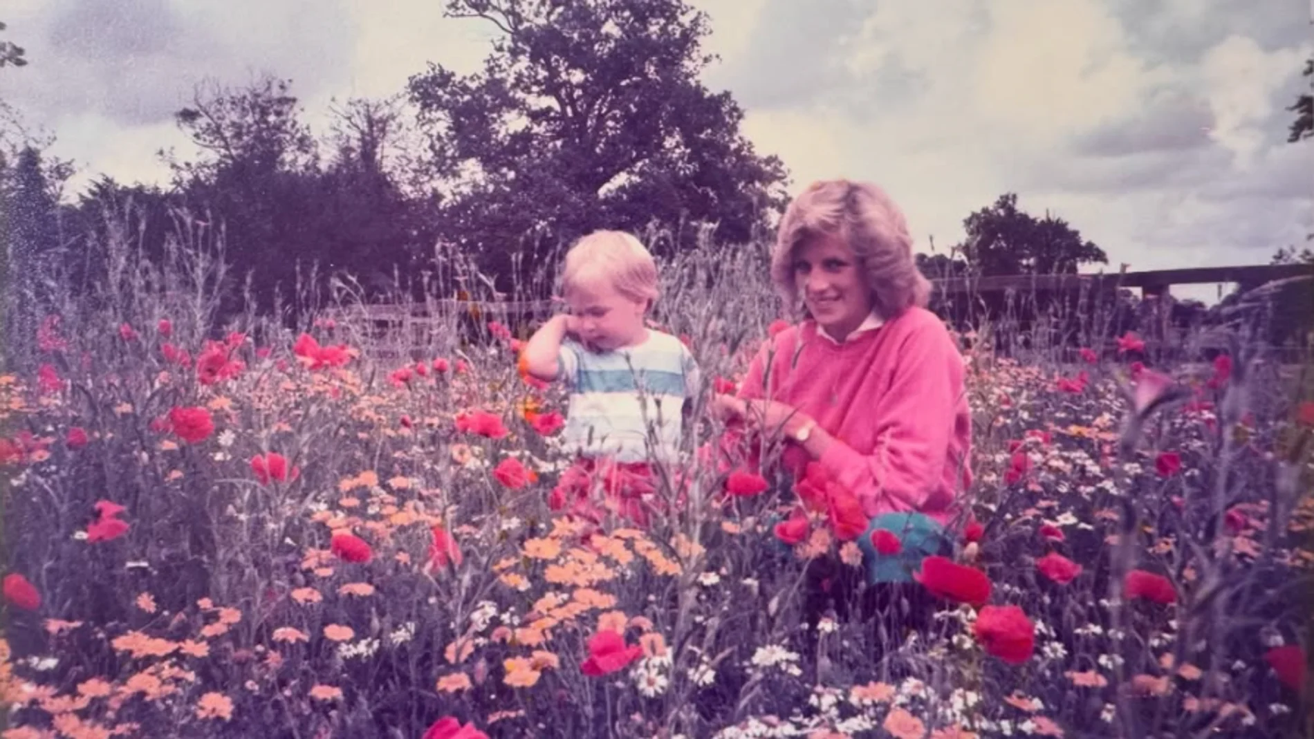 El príncipe Guillermo con Diana de Gales en un campo de amapolas y margaritas El príncipe Guillermo con Diana de Gales en un campo de amapolas y margaritas