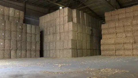 Empresa forraje Empresa forraje