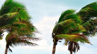 El Gobierno de Canarias da por finalizada la prealerta por viento y oleaje en las islas