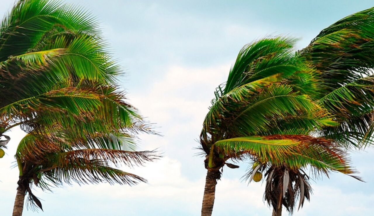 El Gobierno de Canarias da por finalizada la prealerta por viento y oleaje en las islas