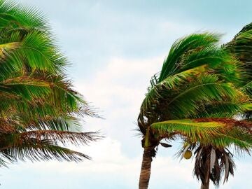 El Gobierno de Canarias da por finalizada la prealerta por viento y oleaje en las islas