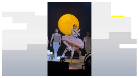 Rosal&iacute;a en concierto