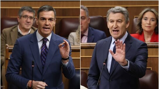 Rifirrafe entre Pedro S&aacute;nchez y Alberto N&uacute;&ntilde;ez Feij&oacute;o en el Congreso de los Diputados
