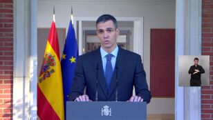 Pedro S&aacute;nchez comunica la remodelaci&oacute;n del Gobierno