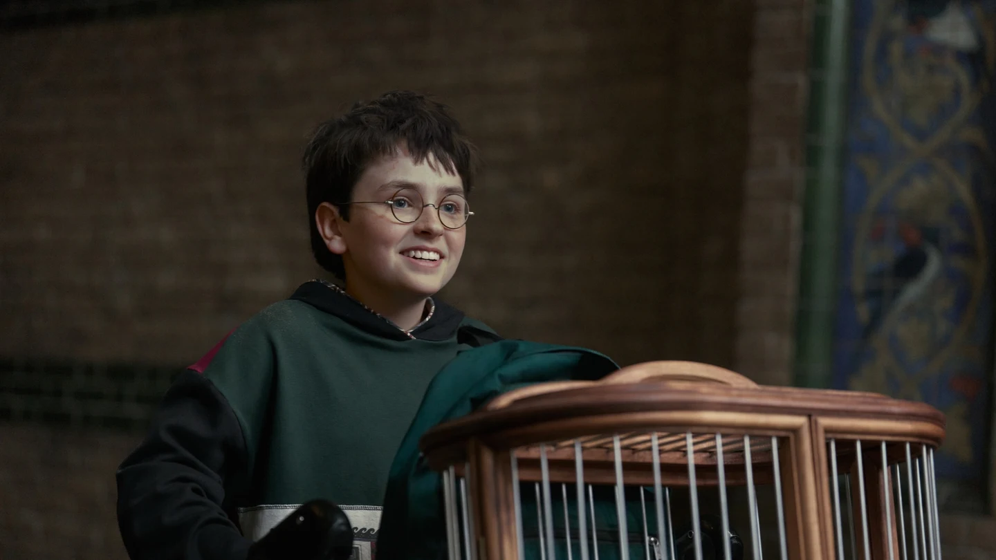 Dominic McLaughlin como Harry Potter Dominic McLaughlin como Harry Potter