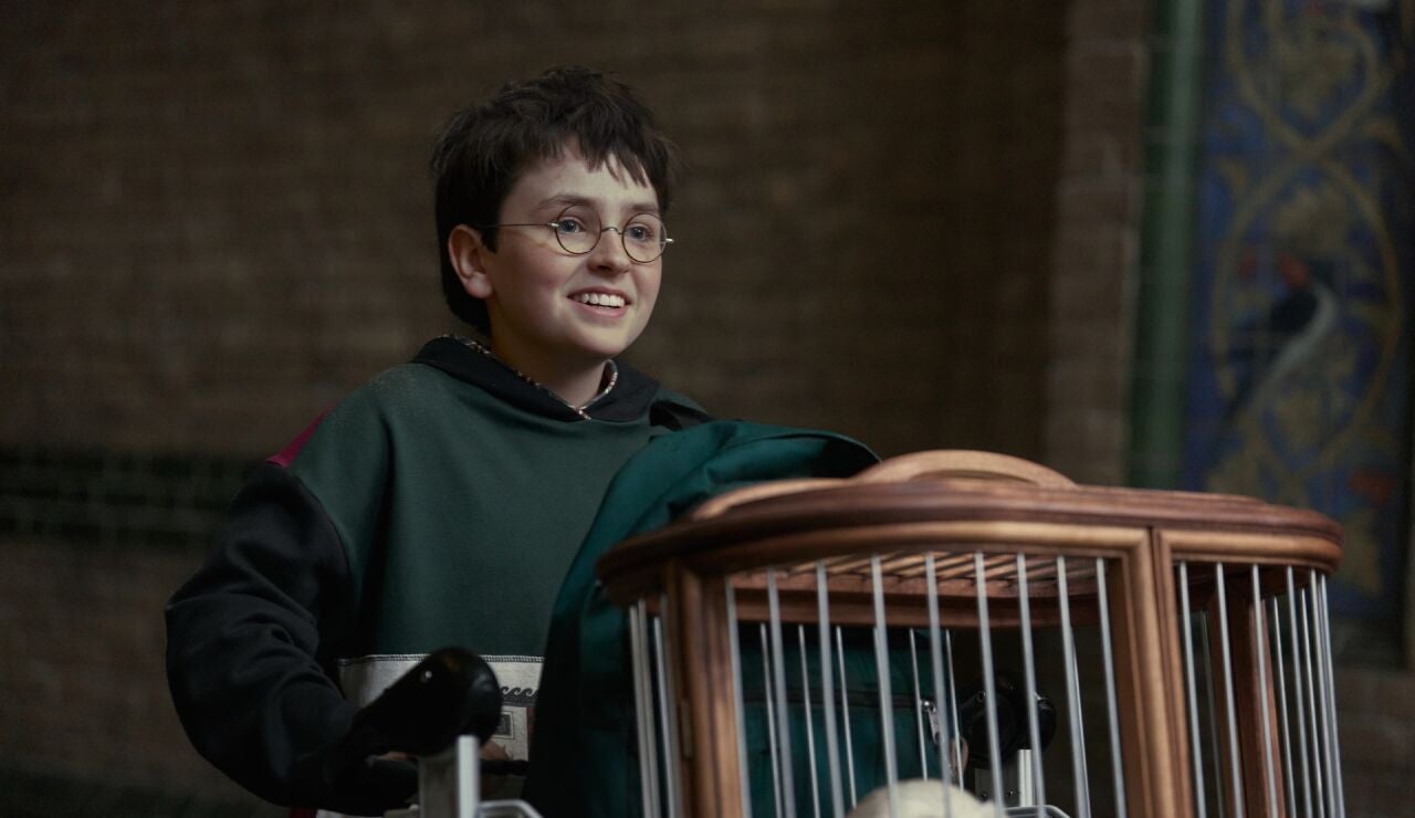 Dominic McLaughlin como Harry Potter