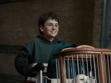 Dominic McLaughlin como Harry Potter Dominic McLaughlin como Harry Potter