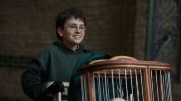 Dominic McLaughlin como Harry Potter