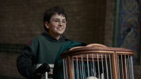 Dominic McLaughlin como Harry Potter