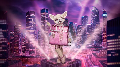 Chihuahua, nueva máscara de Mask Singer Chihuahua, nueva máscara de Mask Singer