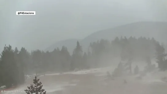 Temporal Temporal