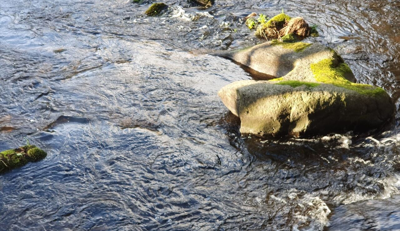 R&iacute;o Mi&ntilde;o