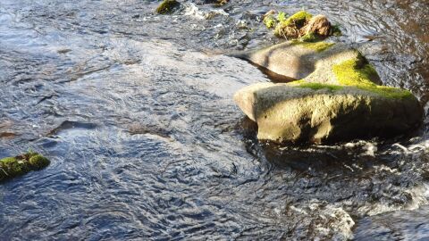 R&iacute;o Mi&ntilde;o