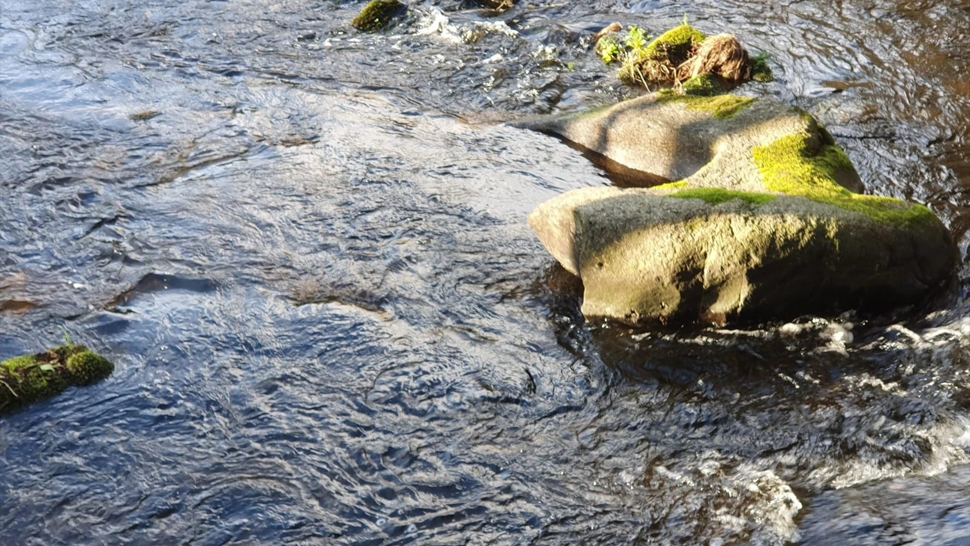 Río Miño Río Miño
