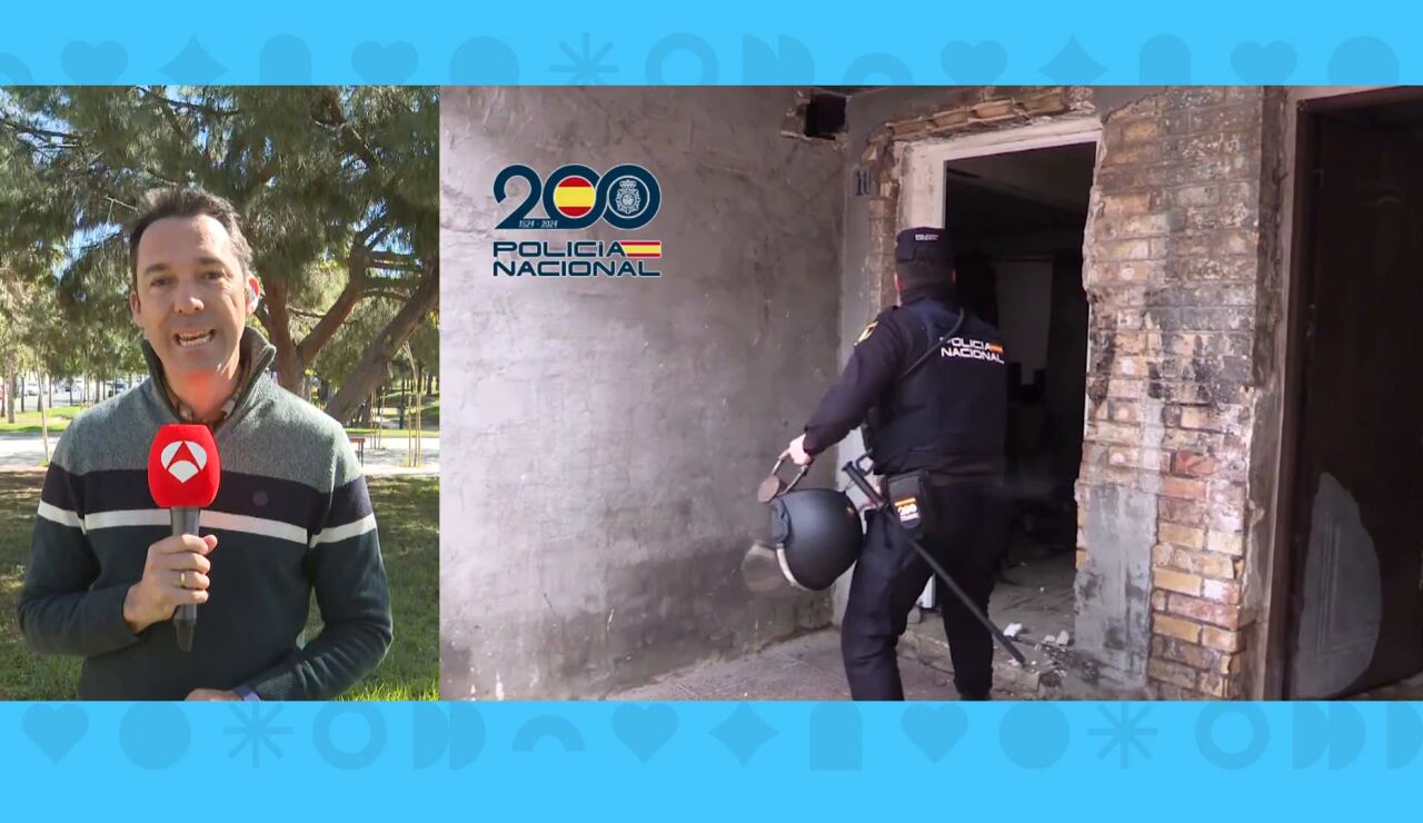 Imagen pelea de gallos