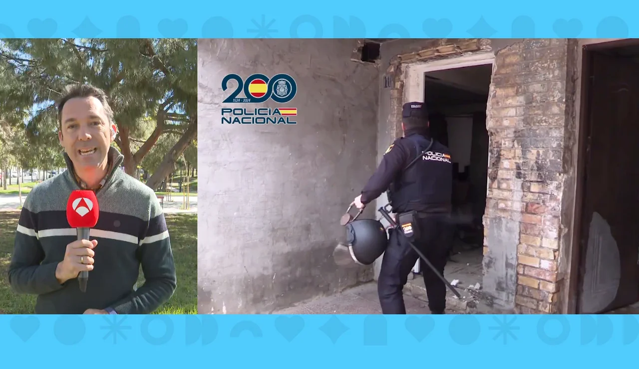 Imagen pelea de gallos