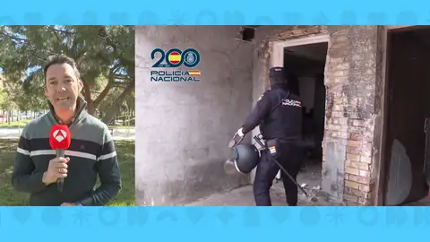 Imagen pelea de gallos Imagen pelea de gallos