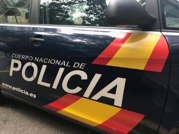 La Polic&iacute;a Nacional detiene a m&aacute;s de 60 personas en 2026 por robos en el interior de veh&iacute;culos en Palma
