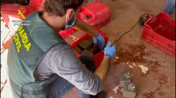 La Guardia Civil desarticula la organización de narcotráfico en una operación iniciada en 2025 y bautizada como 'Operación Palmeras'