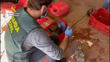 La Guardia Civil desarticula la organización de narcotráfico en una operación iniciada en 2025 y bautizada como 'Operación Palmeras' La Guardia Civil desarticula la organización de narcotráfico en una operación iniciada en 2025 y bautizada como 'Operación Palmeras'