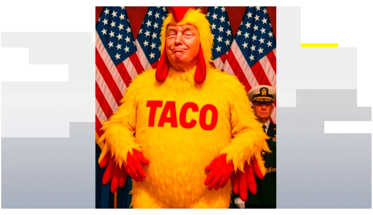 'Trump Always Chicken Out'