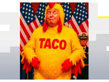 'Trump Always Chicken Out'