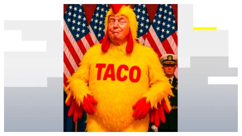 'Trump Always Chicken Out'