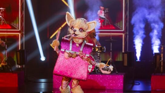 Una Chihuahua delicada saca su lado salvaje con el rock de ‘Bring Me To Life’ en Mask Singer 