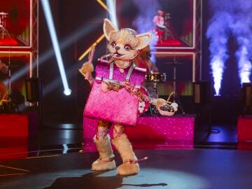 Una Chihuahua delicada saca su lado salvaje con el rock de &lsquo;Bring Me To Life&rsquo; en Mask Singer 