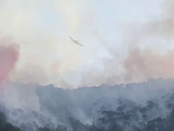 El incendio forestal en Tibi