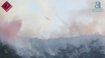 El incendio forestal en Tibi