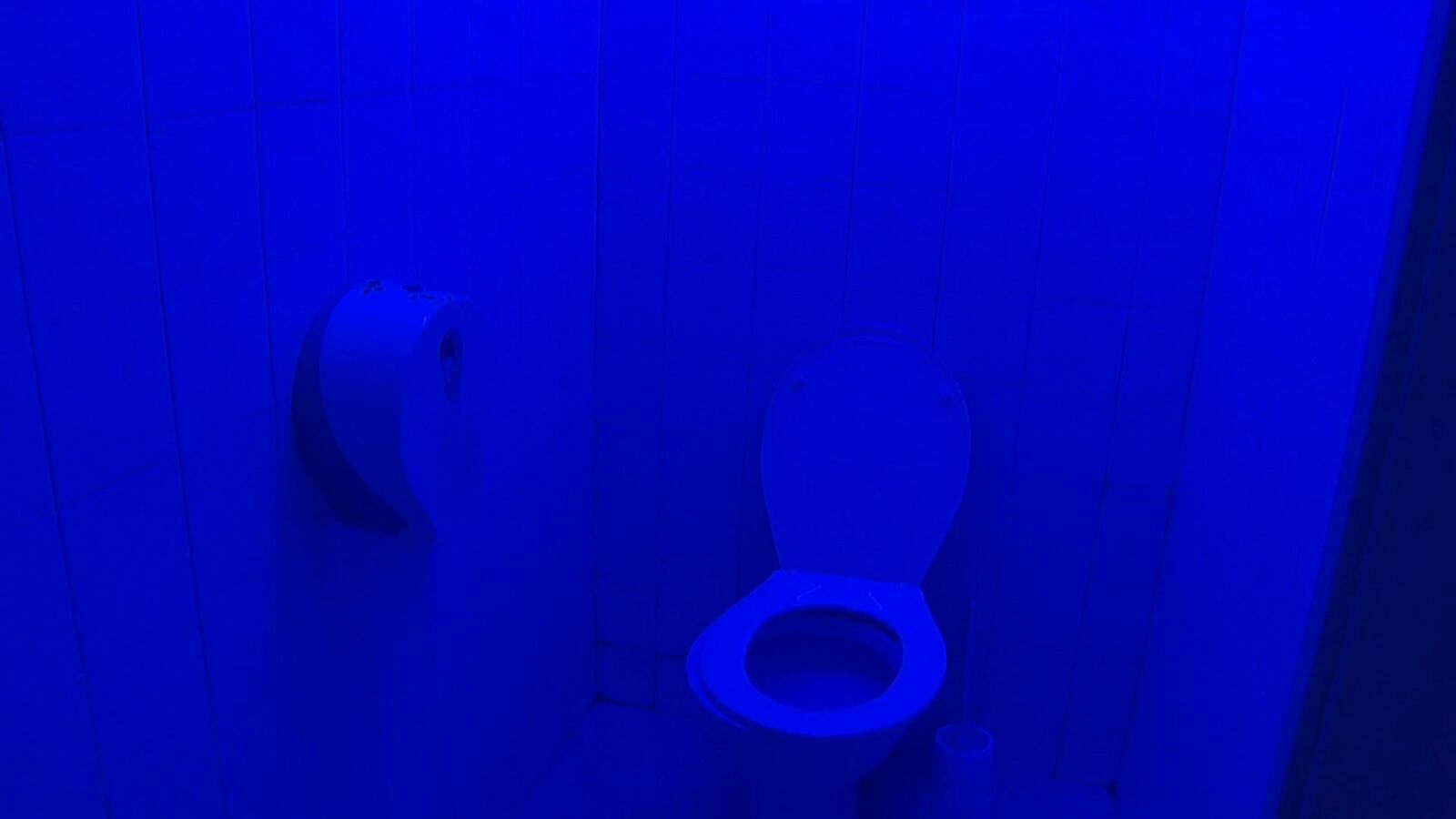 Instalan luces azules en los baños de la Universidad de Lleida para evitar el consumo de drogas