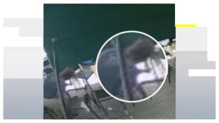 El camarero ayuda a la ni&ntilde;a que sufr&iacute;a el atragantamiento en Sevilla.