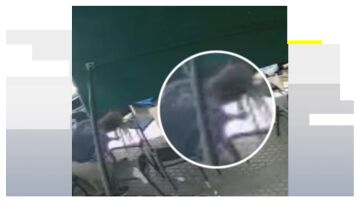 El camarero ayuda a la ni&ntilde;a que sufr&iacute;a el atragantamiento en Sevilla.