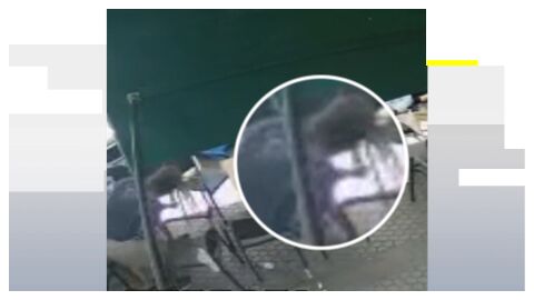 El camarero ayuda a la ni&ntilde;a que sufr&iacute;a el atragantamiento en Sevilla.