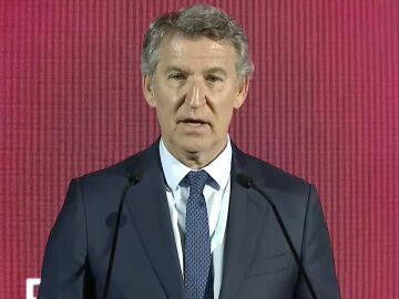 El presidente del PP, Alberto N&uacute;&ntilde;ez Feij&oacute;o