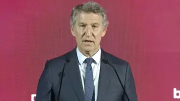 El presidente del PP, Alberto Núñez Feijóo El presidente del PP, Alberto Núñez Feijóo